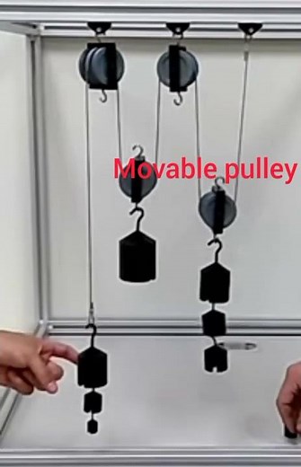 Visualization of movable pulley system. #physics#pulley #11thphysics #cbse #physicsclass