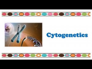 Molecular Biology 🔤 - Cytogenetics