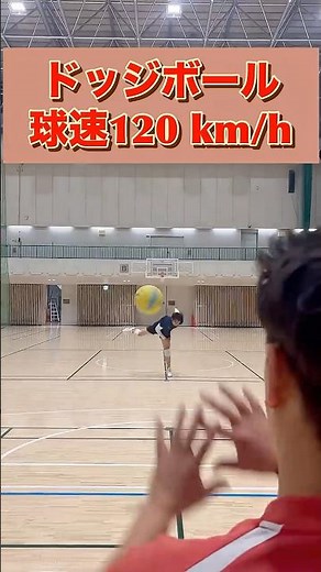 ドッジボール球速120 km/h火の玉ストレート#ドッジボール #ドッジボール日本代表 #dodgeball #坂場巧海#中田輝