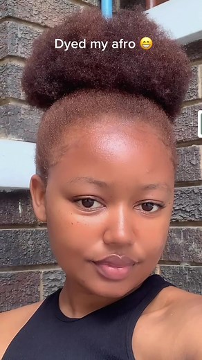 Dyed Afro Color Ideas