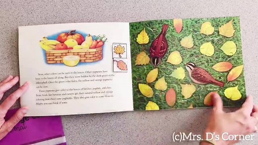 2.7K views · 19 reactions | The Let’s Read and Find Out series is one of my absolute favorite ways to make a guided reading lesson cross-curricular with math, science, and/or social studies. Grab this book set >> https://www.teacherspayteachers.com/Product/Autumn-Fall-Adapted-Piece-Book-Set-8-book-sets-included-4075423 | Mrs. D's Corner | Facebook