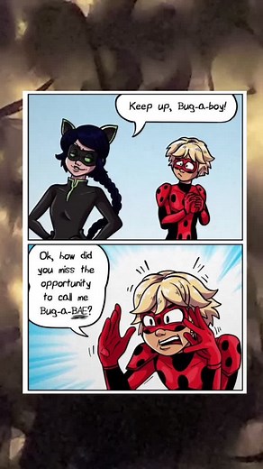 Ladynoir and Mr. Bug: A Miraculous Love Story