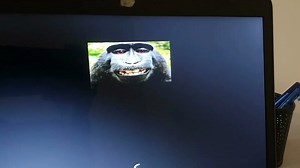 Windows 10/11 boot logo change | HackBgrt | Easy Method | 2024