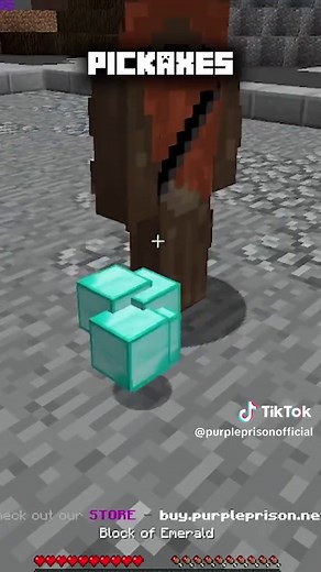 ⚡️ PURPLE PRISON ⚡️ on TikTok