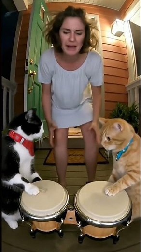 Cats Play Drums at 1AM — Woman Wakes Up Angry! 😂🐱🥁 | Funny Late Night Cat Comedy