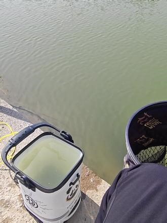 他们都叫我败家子.....