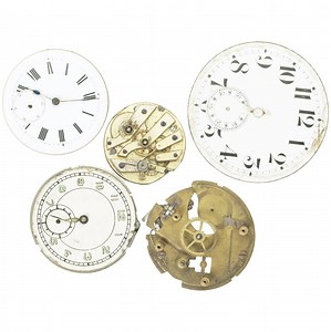 How to Become a Horologist
