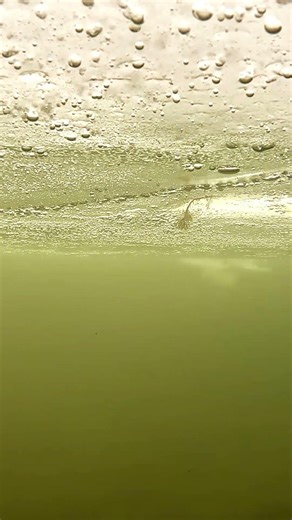 I Dropped my GoPro Under my Ice Hole! 👌