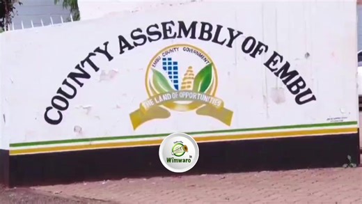 Maavitha a ruvonge rwa EACC nimathiite nambere kuthuthuria kura gwa ciringi millioni 95 thirikariri ya kaunti ya Embu,iria kurerikana irivitwe gwi tender ivetwe kamponi irekuirwa ni cia aruti wira a kaunti ino,3 ao mai MCA's #Radio #WimwaroFm