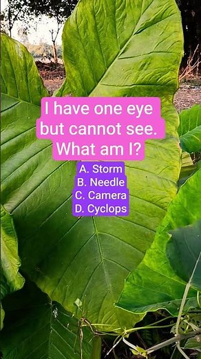 I have one eye but cannot see. What am I?