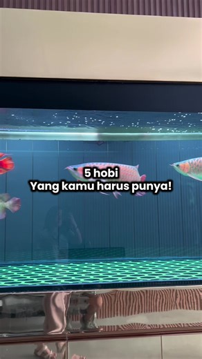 5 Hobi yang Wajib Dimiliki untuk Berkembang