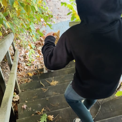 Morgan Myles on Reels