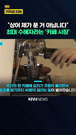 상어 출몰에 카페 '초비상'? "제가 상어 푼 거 아닙니다" / KNN