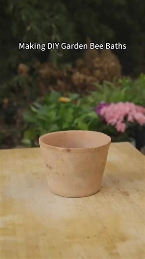 Creating a Bee-Friendly Water Dish for Your Garden