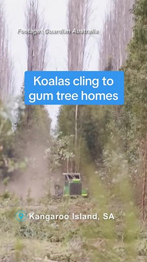 Australian Community Media on TikTok