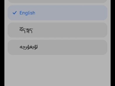 用flutter开发可切换语言的应用，实现国际化，还挺好玩的