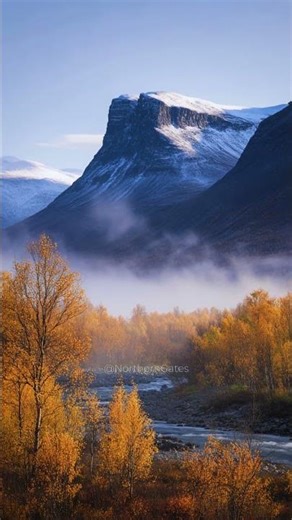 Turquoise Veins of Earth 🍂 | Sweden 4K
