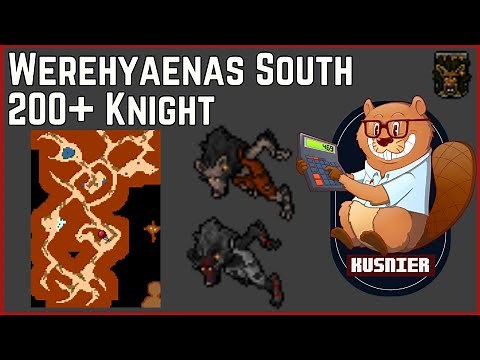 Werehyaenas South | 200+ Knight | Tibia