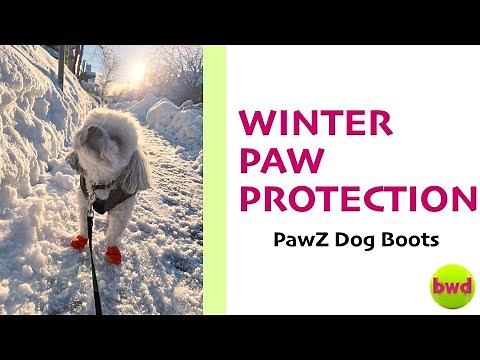 How to put on PAWZ dog booties