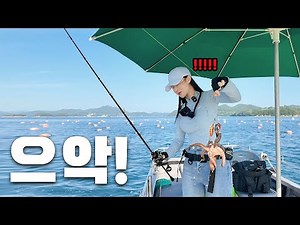 Why did the octopus suddenly spit out? 💦 / Tongyeong outboard octopus fishing