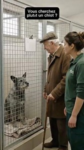 He Didn't Want a Puppy 🐕 | Learn French Conversation