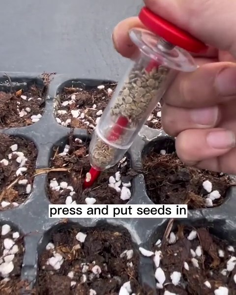 8Pcs Mini Seed Spreader - 2024 Upgraded Mini Sowing Seed Dispenser, Small Seed Planter Tool, Manual Seedlings Dibber and Widger Set, Handheld Garden Seed Sower Spreader Gift for Planting Lover (Set C)