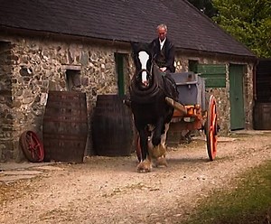 Tradition Irish Horse and Cart on its way around the farmyard in rural Ireland | Videos of Irish Farming Life