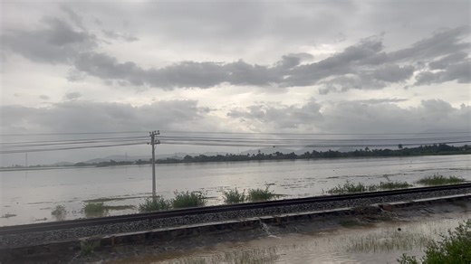 Trieu Thach Ngoc on Reels