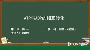 高中生物知识： ATP与ADP的相互转化
