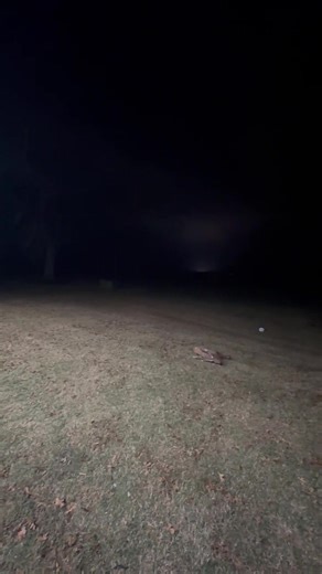 Elves' Fishing Trip Before Christmas Fun