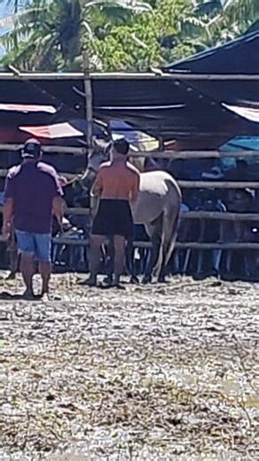 First Fight: Boss Robert vs Bolilit | Anthony Allada | Facebook