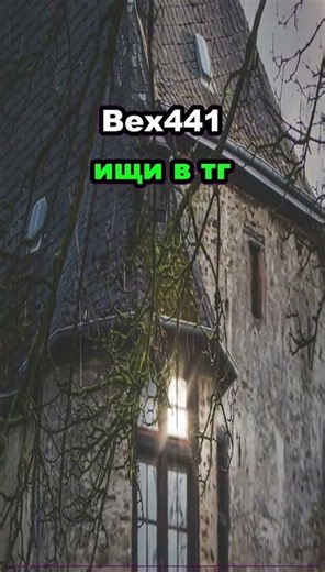 #мемы #Shorts #кружок #memes #мем #мемасы #мемчик #вирусно #веселое 843