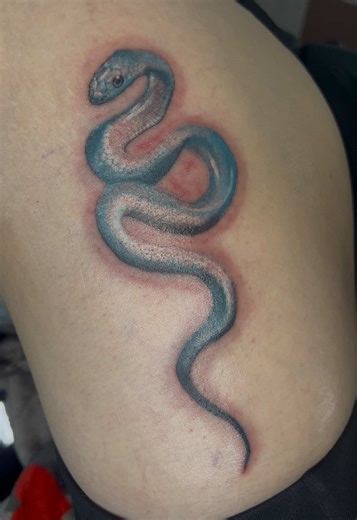 青蛇タトゥー モニター募集のお知らせ