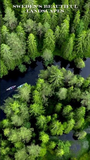 Breathtaking Views of Sweden's Stunning Landscapes 🌲🇸🇪 #Shorts