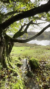 Another escape to the High Hills. It’s getting very chilly! #WaterfallWednesday | Brambly Hedge Official