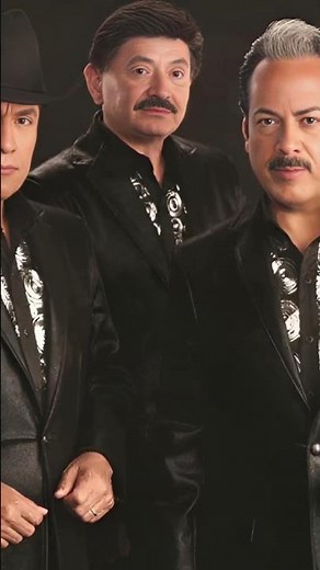 Tigres del Norte - Un Dia a La Vez #musica #viejitas #shortvideo #views #shorts