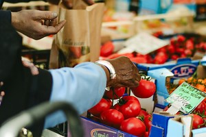 Associated Grocers of Florida: What They Do & How They Work