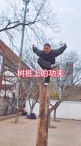 236K views · 10K reactions | A Kung Fu Master demonstrates his ability | World of Wushu | Facebook
