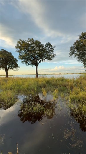 10K views · 316 reactions | Sunset over the Chobe River | The Buffalo Overlander | Facebook