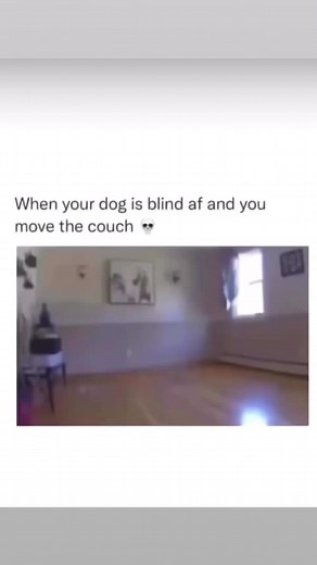 😂😂😂 | Trendy Topic Tiff