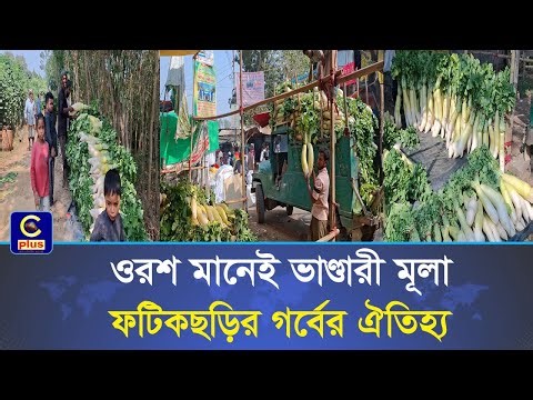 মাইজভাণ্ডারীর ওরশ আর ফটিকছড়ির 'ভাণ্ডারী মূলা' এক অবিচ্ছেদ্য ঐতিহ্য | Cplus