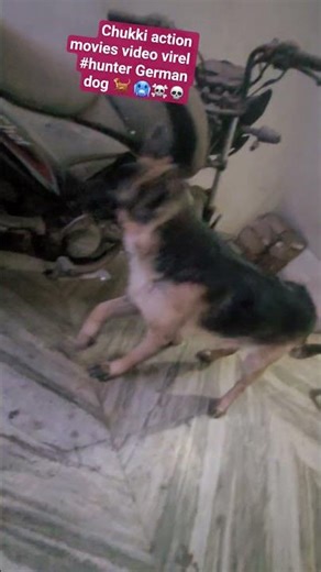 CHUCKY Haunted House - Halloween Horror Nights Universal Studios