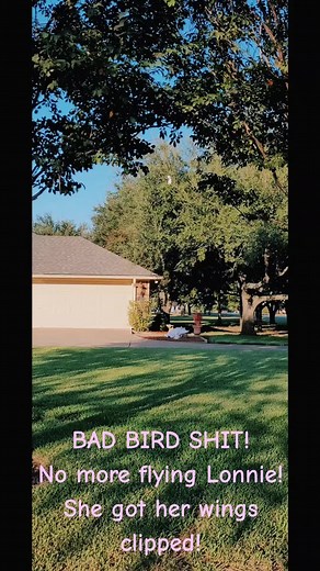 Jennifer Jackson (@jennifer.jackson_)’s videos with original sound - 🦊 Nikki Foxx