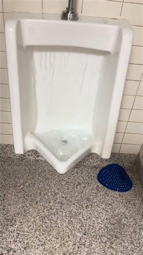 OP American standard washbrook urinals.