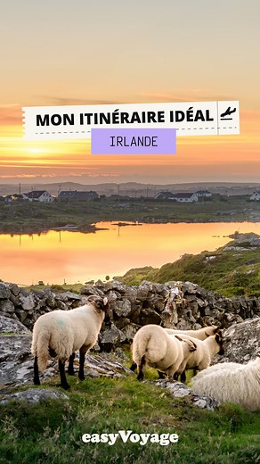 Cap sur l’Irlande avec Claire ! 🚐 10 jours de road trip en van dans le nord du pays : lacs perdus dans le Connemara, plages secrètes dans la baie de Donegal, et des moutons…🐑💚 Entre conduite à gauche, spots isolés et pâturages magiques, ce voyage en mode nomade avait un goût de liberté totale. Budget, applis, galères et coups de cœur : elle te raconte tout. Et toi, t’attends quoi pour tenter l’Irlande en van ? Dis-nous en commentaire ! 👇 ————————————————————————— 🌍Easyvoyage, c’est votre do
