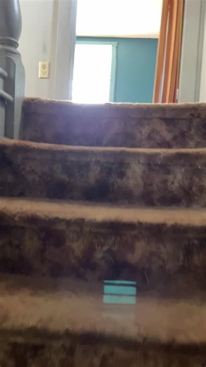 14K views · 558 reactions | Hello everyone I fixed the video! I am giving a quick video tour of another one of our rental houses before we start the total redo! I will keep you posted on the progress 殺殺 | The Crafty Decorator | Facebook