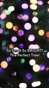 2K reactions · 37 shares | Buy now! On the bright side, this Bethlehem Lights micro-LED tree brings festive vibes. | QVC | Facebook