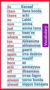 40K views · 416 reactions | Basic vocabulary. #englishwithmubarek #englishinoromo #foryoupageシ #dailyusesentences #reading | Mubarek Aman | Facebook