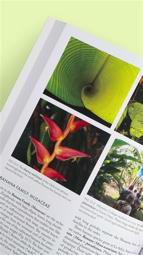 Costa Rica's Rainforests: The Natural History of the Plants and Animals of La Selva