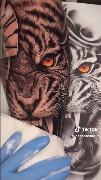 Benson Tiger Studio Prices and Collection